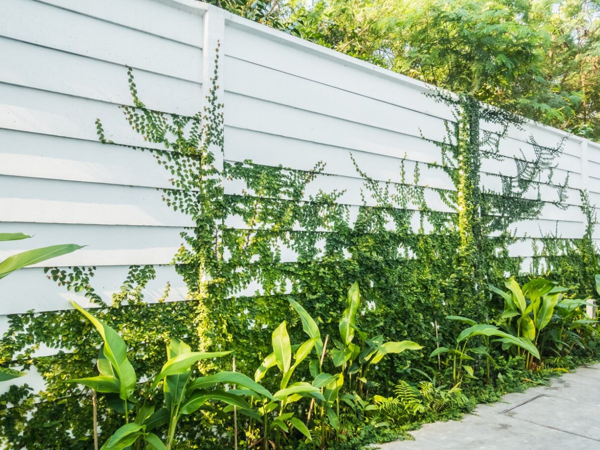10 raisons pour lesquelles les clôtures en aluminium sont le meilleur choix pour votre&nbsp;propriété